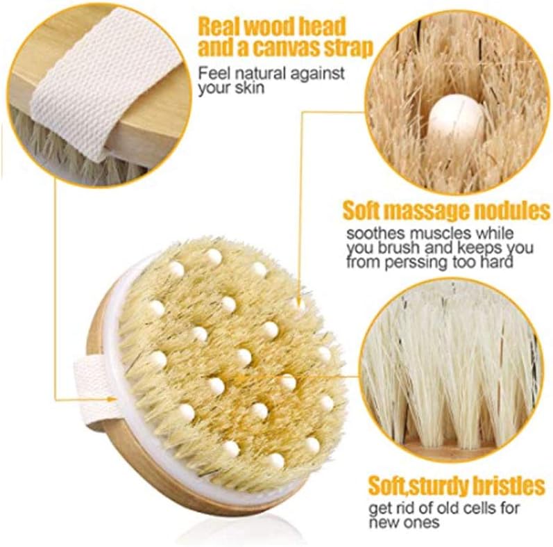 Round Dry Brush
